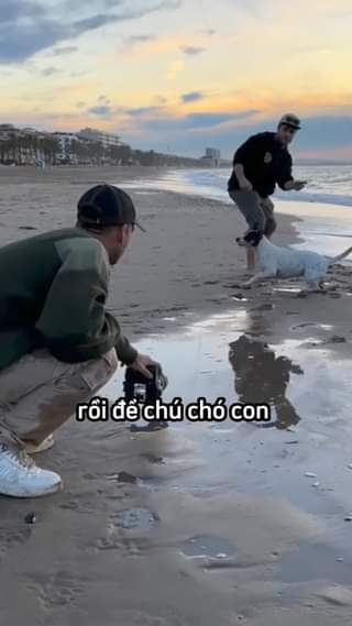 [🆕🇻🇳] 2H Studio – Chụp Ảnh Cưới Đẹp 🤵🏻 Top1Wedding 👰🏻  chụp ra nhiều bức hình đẹp
#2HStudio #BrideToBe #2HWedding #VáyCưới #HạnhPhúc #VáyCướiĐẹp #MaryKimBridal
 , shares-0✔️ , likes-0❤️️ , date-2024-06-04 03:13:08🇻🇳🇻🇳🇻🇳📰🆕