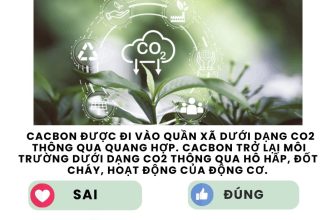 [🆕🇻🇳] SINH HỌC 4.0 – Thầy Nguyễn Duy Khánh 📚 Top1Learn 📕 #lythuyetsinhhoc #SinhhocthayNguyenDuyKhanh
, shares-0✔️ , likes-57❤️️ , date-2024-05-19 11:22:00🇻🇳🇻🇳🇻🇳📰🆕
