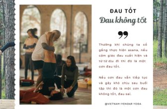 [🆕🇻🇳] Zenith Yoga Kim Mã 🧘 Top1Yoga 🤸🏻‍♀️
ĐAU TỐT – ĐAU KHÔNG TỐT
Thường khi chúng ta cố gắng thực hiện asana, nếu cảm giác đau xuất hiện và từ từ dịu đi thì đó là một cơn đau tốt. Nếu cơn đau vẫ , shares-0✔️ , likes-4❤️️ , date-2024-05-23 23:00:22🇻🇳🇻🇳🇻🇳📰🆕