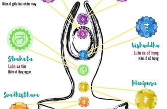 [🆕🇻🇳] Học Viện Đào Tạo Yoga International Angel Academy 🧘 Top1Yoga 🤸🏻‍♀️ 7 LUÂN XA TRONG CƠ THỂ
Luân xa 1 – Luân xa gốc | Muladhara – Nằm ở đáy cột sống. Nó gắn liền với năng lượng, sự tồn tại, ổn định, thoải mái và an toàn. Yếu , shares-2✔️ , likes-93❤️️ , date-2024-05-21 00:45:25🇻🇳🇻🇳🇻🇳📰🆕