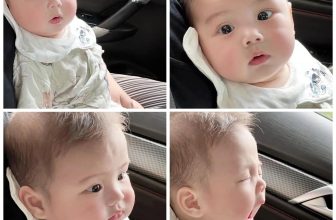 [🆕🇻🇳] Đồng Phục Gạo House – Là Xưởng sản xuất Áo Gia Đình, Áo Doanh Nghiệp, Công Ty, Áo Lớp, Áo Bảo Hộ… 👕 Top1Fashion 👗  Xin vía có 1 em bé đáng yêu như này
, shares-1✔️ , likes-87❤️️ , date-2024-05-28 15:37:24🇻🇳🇻🇳🇻🇳📰🆕