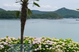 [🆕🇻🇳] Checkin và Du lịch Hàn Quốc – Korea Travel ♥️️ Top1Checkin ☑  [ 여수 𝐡𝐨𝐚 𝐜𝐚̂̉𝐦 𝐭𝐮́ 𝐜𝐚̂̀𝐮 𝐬𝐢𝐞̂𝐮 𝐱𝐢𝐧𝐡 𝐨̛̉ 𝐘𝐞𝐨𝐬𝐮  ]
bắt đầu từ tháng 6 hoa ở đây sẽ nở đẹp nhé mn.
Mở cửa từ :10:00 – 20:00 hàng ngày / Có bãi đậu xe
Sự k , shares-0✔️ , likes-6❤️️ , date-2024-05-25 08:42:11🇻🇳🇻🇳🇻🇳📰🆕