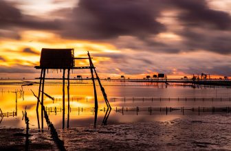 [🆕🇻🇳] Check in Vietnam – Cùng nhau trải nghiệm và và khám phá Việt Nam ♥️️ Top1Checkin ☑  Mùa săn Ông Mặt Trời tại Đồng Châu, Thái Bình  Cảnh đẹp ngất ngây và mê đắm, món quà dành cho những người biết chờ đợi   Bộ ảnh của bạn Doan Ngoc Anh trong , shares-24✔️ , likes-439❤️️ , date-2024-06-01 12:30:01🇻🇳🇻🇳🇻🇳📰🆕