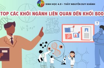 [🆕🇻🇳] SINH HỌC 4.0 – Thầy Nguyễn Duy Khánh 📚 Top1Learn 📕 TOP CÁC KHỐI NGÀNH LIÊN QUAN ĐẾN KHỐI B00
Khối ngành Y- Dược
Y Dược đang nhận được sự quan tâm và chú trọng đặc biệt của sinh viên trong những năm gần đây. , shares-1✔️ , likes-12❤️️ , date-2024-05-22 12:13:25🇻🇳🇻🇳🇻🇳📰🆕