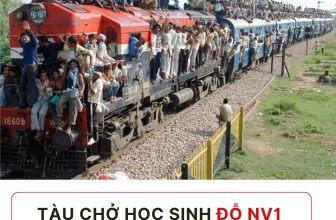 [🆕🇻🇳] Luyện Thi Tiếng Anh Cùng Cô Phạm Liễu 📚 Top1Learn 📕 Các em đã sẵn sàng lên tàu chưaaaa
, shares-463✔️ , likes-60K❤️️ , date-2024-06-01 14:00:28🇻🇳🇻🇳🇻🇳📰🆕