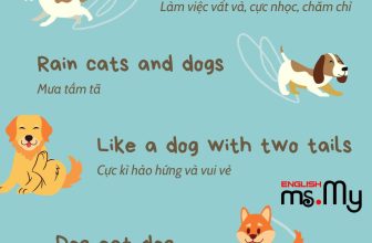 [🆕🇻🇳] Tiếng Anh Ms. My 📚 Top1Learn 📕 Tổng hợp các câu “Cún” Idioms  ——————————
Số 297 Bạch Mai – Hai Bà Trưng – Hà Nội
037.610.1992
englishmsmy2020@gmail.com
Group Học  , shares-1✔️ , likes-13❤️️ , date-2024-05-24 15:02:40🇻🇳🇻🇳🇻🇳📰🆕