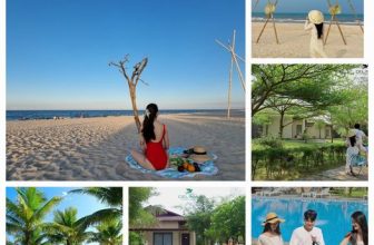 [🏝️🇻🇳] Celina Peninsula Resort Quang Binh  🏝️ Top1Resort 🏖️ Hoà mình vào giữa sắc xanh bất tận của biển trời và cỏ cây, hãy để Celina là điểm đến lý tưởng để giúp bạn nạp năng lượng cho hành trình khám phá và chăm s… , shares-0✔️ , likes-8❤️️ , date-2024-05-22 03:01:58🇻🇳🇻🇳🇻🇳📰🆕