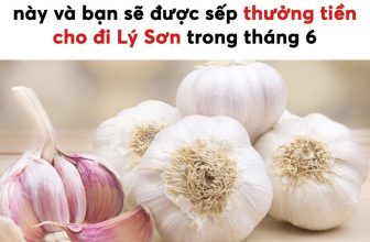 [🆕🇻🇳] Check in Vietnam – Cùng nhau trải nghiệm và và khám phá Việt Nam ♥️️ Top1Checkin ☑  Ước mơ mỗi sáng thứ 2 đầu tuần  #checkinvietnam #checkinlyson #Hna
, shares-2✔️ , likes-19K❤️️ , date-2024-06-03 04:12:35🇻🇳🇻🇳🇻🇳📰🆕