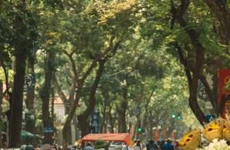 [🆕🇻🇳] Check in Vietnam – Cùng nhau trải nghiệm và và khám phá Việt Nam ♥️️ Top1Checkin ☑  Phố Phan Đình Phùng một ngày cuối tuần trời nắng trong cây cối xanh mướt  Nay quốc tế Thiếu Nhi 1/6 lên phố lượn lờ cà phê trà đá cho xôm bạn ưi ^^  Ảnh xi , shares-43✔️ , likes-59K❤️️ , date-2024-06-01 03:26:56🇻🇳🇻🇳🇻🇳📰🆕