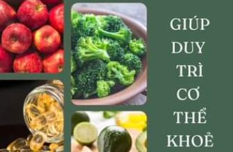 [🆕🇻🇳] Paragate Yoga & Pilates 🧘 Top1Yoga 🤸🏻‍♀️ Nếu bạn muốn duy trì một cơ thể khoẻ mạnh thì đừng bỏ qua 10 thực phẩm dinh dưỡng này nhé! #healthyfood #healthylifestyle
, shares-0✔️ , likes-0❤️️ , date-2024-06-09 12:52:42🇻🇳🇻🇳🇻🇳📰🆕