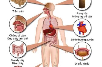 [🆕🇻🇳] Chill kids – Sài Gòn 😎❤️️⭐️ 𝐁Ạ𝐍 Đ𝐀̃ 𝐁Ổ 𝐒𝐔𝐍𝐆 𝐂𝐀𝐍𝐗𝐈 ĐỦ 𝐂𝐇𝐎 𝐂Ơ 𝐓𝐇Ể?
Canxi không chỉ giúp xương chắc khỏe mà còn có nhiều vai trò quan trọng cho các hoạt động khác của cơ thể. Nếu bạn đ , shares-0✔️ , likes-2❤️️ , date-2024-05-29 05:50:17🇻🇳🇻🇳🇻🇳📰🆕