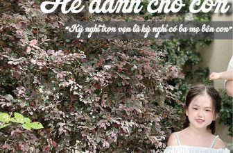 [🆕🇻🇳] KAKUMMI là thương hiệu VN hàng đầu thiết kế & sản xuất áo thời trang cho bé 😎❤️️⭐️ 𝑺𝒑𝒆𝒏𝒅 𝒔𝒖𝒎𝒎𝒆𝒓𝒕𝒊𝒎𝒆 𝒘𝒊𝒕𝒉 𝒚𝒐𝒖𝒓 𝒌𝒊𝒅𝒔Kakummi xin phép gửi đến Ba Mẹ và những Em Bé đáng yêu look đồ gia đình năng độngĐừng để con làm bạn với điện thoại su , shares-11✔️ , likes-124❤️️ , date-2024-06-03 13:00:27🇻🇳🇻🇳🇻🇳📰🆕