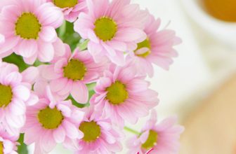 [🆕🇻🇳] Glam Beautique – Chuỗi cửa hàng Chăm sóc sức khỏe và sắc đẹp thuộc AEON Việt Nam 💅💇 Top1Makeup 💕👄  “TẾT ĐOAN NGỌ” lựa chọn sắc hoa bình an cho gia đìnhTết Đoan Ngọ, là dịp lễ quan trọng trong văn hóa Việt Nam. Vào ngày này, mọi người cầu mong một năm  , shares-0✔️ , likes-4❤️️ , date-2024-06-08 13:00:10🇻🇳🇻🇳🇻🇳📰🆕