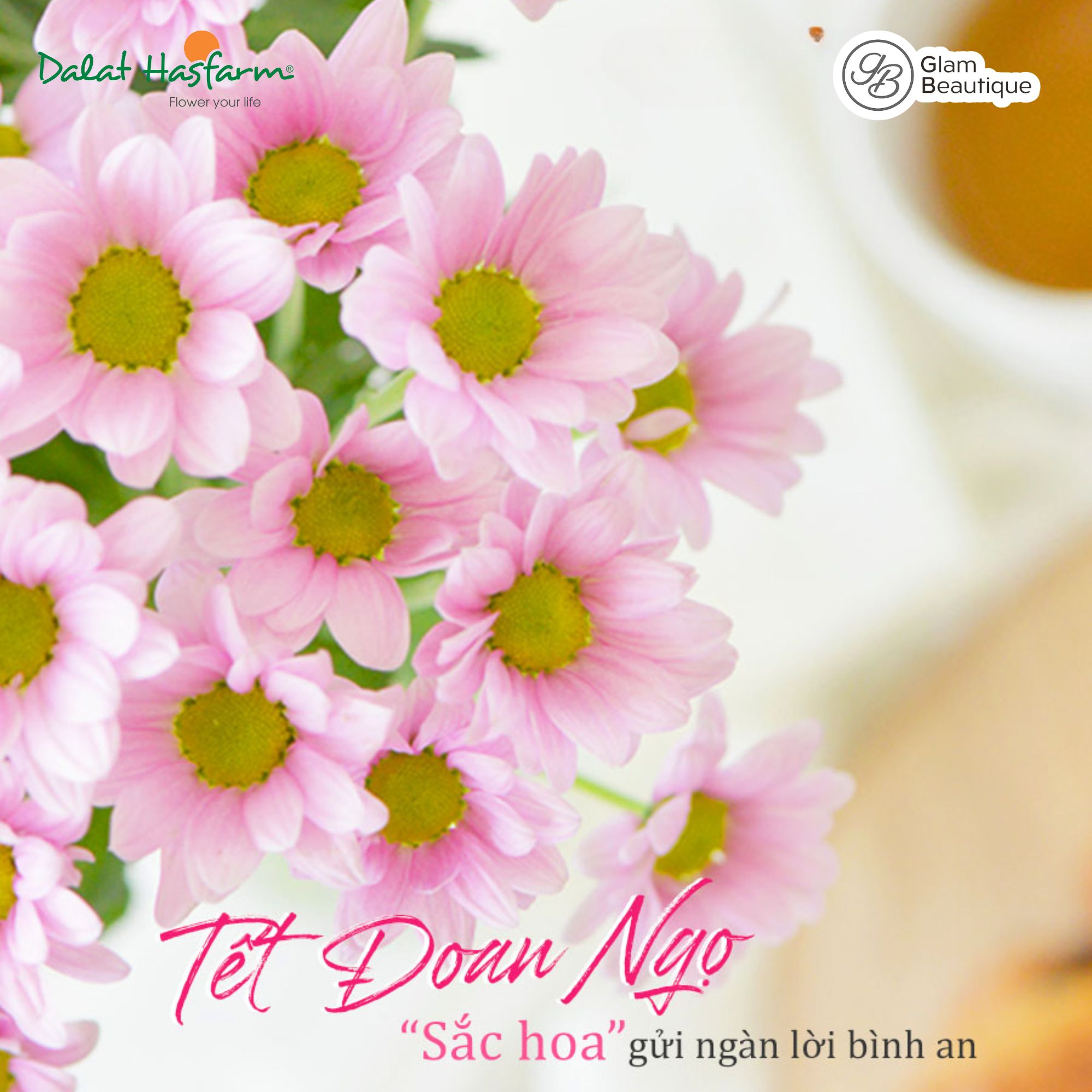 [🆕🇻🇳]  Cocandy kids – Thương hiệu thời trang thiết kế dành cho bé 