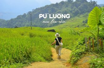 [🆕🇻🇳] Check in Vietnam – Cùng nhau trải nghiệm và và khám phá Việt Nam ♥️️ Top1Checkin ☑   NHỮNG ĐIỀU CẦN BIẾT KHI SĂN MÙA LÚA CHÍN Ở PÙ LUÔNGNếu ai muốn đến đây ngắm lúa thì có 2 mốc cần lưu ý:Từ giữa tháng 5 – giữa tháng 6
Từ cuối tháng  , shares-23✔️ , likes-246❤️️ , date-2024-06-02 13:19:44🇻🇳🇻🇳🇻🇳📰🆕