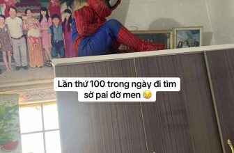 [🆕🇻🇳]  Minsu Kids 😎❤️️⭐️ Bố mẹ cứ bình tĩnh, mới nghỉ hè có 1 tuần thui
, shares-0✔️ , likes-7❤️️ , date-2024-06-07 10:10:01🇻🇳🇻🇳🇻🇳📰🆕