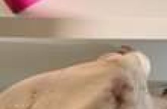 [🆕🇻🇳] H’allure – “If you’re an open book, there’s no allure.” – Alexander McQueen 👕 Top1Fashion 👗  𝐌𝐎𝐍𝐃𝐀𝐘 𝐋𝐎𝐎𝐊 New week, new look! Embrace the fresh start and dive into the possibilities ahead.
Inbox để được tư vấn và đặt : m.me/HallureDesign
Hotline  , shares-6✔️ , likes-317❤️️ , date-2024-06-10 03:21:06🇻🇳🇻🇳🇻🇳📰🆕