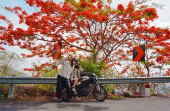 [🆕🇻🇳] Check in Vietnam – Cùng nhau trải nghiệm và và khám phá Việt Nam ♥️️ Top1Checkin ☑  Tầm này ra đường đi vài bước chân là thấy cây phượng đỏ, dấu hiệu nàng hạ đã ghé thăm chúng ta  Vũng Tàu đẹp cỡ này nè, các nơi khác thì saoo   Bộ ảnh của  , shares-18✔️ , likes-2K❤️️ , date-2024-06-03 12:30:04🇻🇳🇻🇳🇻🇳📰🆕