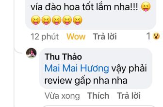 [🆕🇻🇳] Thảo Cầm Viên – Sài gòn Zoo & Botanical Gardens ♥️️ Top1Checkin ☑  Bí kkiếp thoát ế
Nhân chứng vật chứng đầy đủ
Ai thấy đúng vô xác nhận cái coi…
Mại dzô mại dzô
, shares-7✔️ , likes-609❤️️ , date-2024-06-07 01:22:50🇻🇳🇻🇳🇻🇳📰🆕