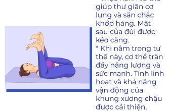 [🆕🇻🇳] Tambooks Yoga  – Học viện Yoga Online Tambooks Việt Nam 🧘 Top1Yoga 🤸🏻‍♀️ 13 bài tập loại bỏ cơn đau lưng!
Tập yoga là một trong những giải pháp chữa đau lưng hữu hiệu. Ngoài tác dụng giả.m đa.u, cải thiện chức năng vận động thì , shares-0✔️ , likes-5❤️️ , date-2024-06-09 03:30:04🇻🇳🇻🇳🇻🇳📰🆕