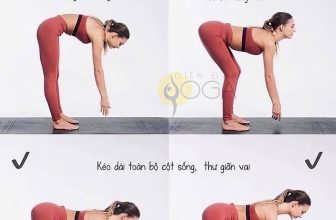 [🆕🇻🇳] 💗 Những Người Thích Tập Yoga 🧘🏻‍♀️ 🧘 Top1Yoga 🤸🏻‍♀️ Đ𝗜̣𝗡𝗛 𝗧𝗨𝗬𝗘̂́𝗡 𝗧𝗥𝗢𝗡𝗚 𝗬𝗢𝗚𝗔 𝗟𝗔̀ 𝗚𝗜̀?Định tuyến là nguyên tắc căn chỉnh tư thế dựa trên bản chất cơ thể và giải phẫu học. Cơ thể con người vốn là một trục th , shares-0✔️ , likes-3❤️️ , date-2024-06-11 05:23:51🇻🇳🇻🇳🇻🇳📰🆕