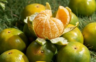 [☕️🇻🇳] OiA Coffee 🥤 Top1Coffee ☕️ TOẢ SÁNG VỚI HƯƠNG VỊ HOA QUẢ TƯƠI
Từng món đồ uống được lựa chọn biến tấu từ một loại quả đặc trưng của mùa với kỹ năng tỉ mỉ đ , shares-0✔️ , likes-6❤️️ , date-2024-06-09 13:00:24🇻🇳🇻🇳🇻🇳📰🆕