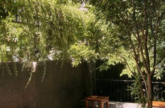 [☕️🇻🇳] Hello Coffee – Quán cà phê Internet Thành Phố Huế 🥤 Top1Coffee ☕️ Tháng 6 được gọi là Mùa Lễ Hội ở xứ Huế thươngĐâu đó giữa những ngày Hè trời cũng “nhõng nhẽo” đổ vài cơn mưa rào, làm dịu mát , shares-0✔️ , likes-41❤️️ , date-2024-06-11 02:56:13🇻🇳🇻🇳🇻🇳📰🆕