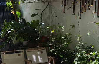 [☕️🇻🇳] Cố Thời Coffee 🥤 Top1Coffee ☕️ Sân ngập nắng mùa hè tháng 6 @cothoicoffee
, shares-0✔️ , likes-7❤️️ , date-2024-06-12 04:35:42🇻🇳🇻🇳🇻🇳📰🆕