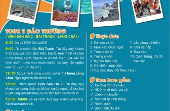[🆕🇻🇳] Alpha Travels – Kênh Du Lịch Khám Phá ♥️️ Top1Checkin ☑  𝐓𝐎𝐔𝐑 𝟑 Đ𝐀̉𝐎 𝐕𝐈𝐏 𝐍𝐇𝐀 𝐓𝐑𝐀𝐍𝐆 𝐂𝐇𝐔̛𝐀 𝐁𝐀𝐎 𝐆𝐈𝐎̛̀ 𝐋𝐀̀ 𝐇𝐄̂́𝐓 𝐇𝐎𝐓
Một ngày ở Nha Trang nếu không biết đi chơi ở đâu, thì hãy theo #Alpha_Travel trải nghiệm Tour đả , shares-0✔️ , likes-0❤️️ , date-2024-06-11 08:04:16🇻🇳🇻🇳🇻🇳📰🆕