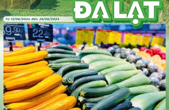 [🆕🇻🇳] Big C Vietnam ♥️️ Top1Index 📚   FAN ĐÀ LẠT ƠI, TỚI GO! NGAY THÔIÔ vui quá xá là vui LỄ HỘI NÔNG SẢN ĐÀ LẠT đã diễn ra nè! Rau sạch, chất lượng, tươi không cần tưới từ Đà Lạt đã sẵn tạ , shares-1✔️ , likes-51❤️️ , date-2024-06-23 08:00:00🇻🇳🇻🇳🇻🇳📰🆕