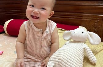[🆕🇻🇳]  Jami Baby Store – Chuyên hàng body xuất dư trẻ em Carter, Geo, Old Navy chuẩn 100% 🧑‍🧒❤️️👶⭐️ Nụ cười em giờ là nắng cho em thêm mơ màng
, shares-0✔️ , likes-9❤️️ , date-2024-06-24 05:03:16🇻🇳🇻🇳🇻🇳📰🆕