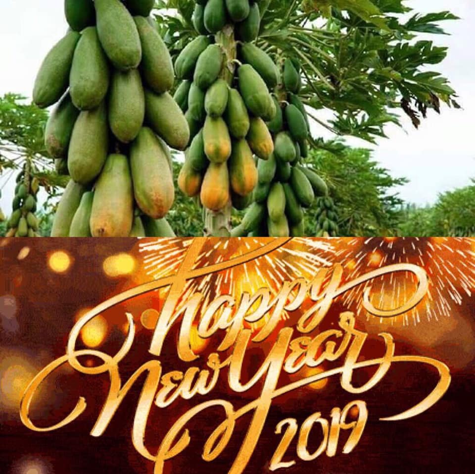 [☕️🇻🇳] Cà phê Ngọc Hà- Cafe sân vườn 🥤 Top1Coffee ☕️ —– HAPPY NEW YEAR —–
Nhân dịp tết Dương Lịch 2019 – Coffee Ngọc Hà xin chúc quý khách có 1 Năm Mới 2019 Tràn Đầy Năng Lượ , shares-0✔️ , likes-8❤️️ , date-2018-12-31 12:54:43🇻🇳🇻🇳🇻🇳📰🆕