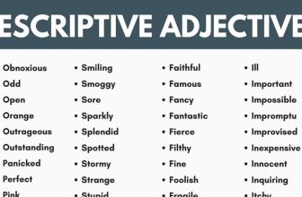 [🆕🇻🇳] English Kids 📚 Top1Learn 📕 Descriptive Adjectives: The Secret to Stunning English Writing and Speech – ESLBUZZ , shares-0✔️ , likes-1❤️️ , date-2024-05-29 15:00:28🇻🇳🇻🇳🇻🇳📰🆕