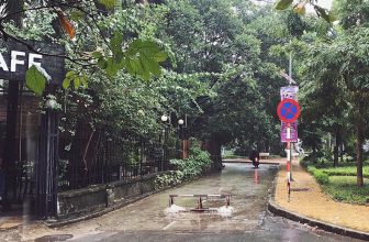 [☕️🇻🇳] Tungbook Coffee Hà Nội 🥤 Top1Coffee ☕️ Cũng Sương Sương lắm …
, shares-0✔️ , likes-14❤️️ , date-2019-10-04 03:03:08🇻🇳🇻🇳🇻🇳📰🆕