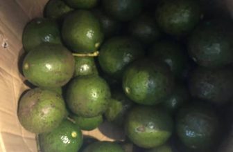 [☕️🇻🇳] Tungbook Coffee Hà Nội 🥤 Top1Coffee ☕️ Bơ tươi ko cần tưới , vừa hái trên cây luôn nha quí vị :)
, shares-1✔️ , likes-7❤️️ , date-2019-10-02 14:59:48🇻🇳🇻🇳🇻🇳📰🆕