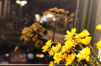 [☕️🇻🇳] Tungbook Coffee Hà Nội 🥤 Top1Coffee ☕️  , shares-0✔️ , likes-9❤️️ , date-2019-11-17 14:08:22🇻🇳🇻🇳🇻🇳📰🆕