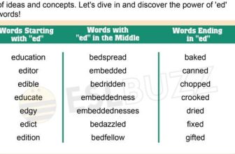 [🆕🇻🇳] English Kids 📚 Top1Learn 📕 Demonstrative Adjectives: This, That, These, and Those – ESLBUZZ , shares-0✔️ , likes-1❤️️ , date-2024-05-26 15:00:09🇻🇳🇻🇳🇻🇳📰🆕