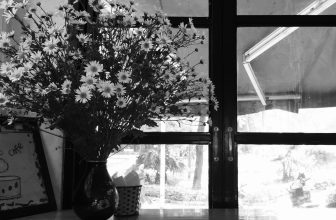 [☕️🇻🇳] Tungbook Coffee Hà Nội 🥤 Top1Coffee ☕️ “Bình yên một thoáng cho tim mềm…” Cúc hoạ mi – Chút hương sắc Thu Hà Nội vào một ngày lãng đãng thật nhẹ nhàng ở Tungbook
, shares-1✔️ , likes-12❤️️ , date-2019-11-25 04:20:11🇻🇳🇻🇳🇻🇳📰🆕