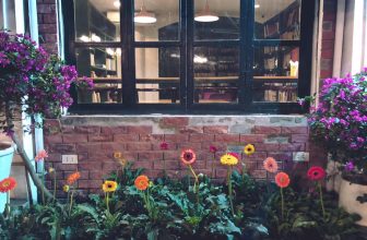 [☕️🇻🇳] Tungbook Coffee Hà Nội 🥤 Top1Coffee ☕️ Vườn Hoa trong phố ….
#tungbookcoffee, #cafesach, #douongmuadong,#cafeviewdep
, shares-0✔️ , likes-16❤️️ , date-2019-12-27 14:06:09🇻🇳🇻🇳🇻🇳📰🆕