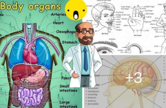 [🆕🇻🇳] English Kids 📚 Top1Learn 📕 Human Body Parts and Internal Body Parts Vocabulary – ESLBUZZ , shares-0✔️ , likes-0❤️️ , date-2024-06-03 15:00:16🇻🇳🇻🇳🇻🇳📰🆕