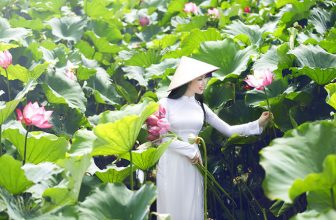 [🆕🇻🇳] Chụp ảnh áo dài với hoa sen có ý nghĩa như thế nào?