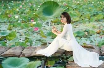 [🆕🇻🇳] 10 cách tạo dáng chụp ảnh hoa sen dành cho nữ
