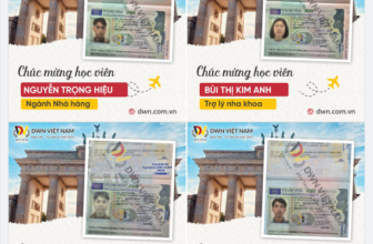 Bão Visa đổ Bộ Liên Tục DWN Việt Nam  [🆕🇻🇳] dwn.com.vn