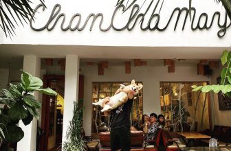 [☕️🇻🇳] Ochata Coffee  🥤 Top1Coffee ☕️ Một tấm ảnh tràn đầy sự đáng yêu  Thanks for a cute pic :  @bazon.corgi
———————————–
Chanchamayo Coffee , shares-0✔️ , likes-17❤️️ , date-2020-07-30 02:00:01🇻🇳🇻🇳🇻🇳📰🆕