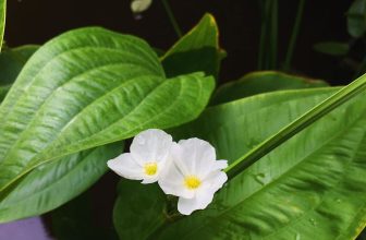 [☕️🇻🇳] CoCo’s Coffee 🥤 Top1Coffee ☕️ Không còn những ngày than thở vì cái nóng, bây giờ người ta chỉ trách sao cơn mưa nặng hạt ! Mùa mưa lại tới rồi !
——————— #co , shares-0✔️ , likes-11❤️️ , date-2020-10-05 21:04:21🇻🇳🇻🇳🇻🇳📰🆕