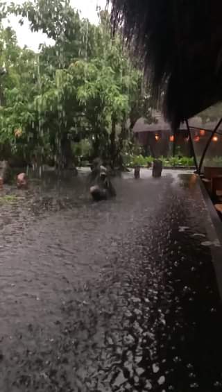 [☕️🇻🇳] CoCo’s Coffee 🥤 Top1Coffee ☕️ Có một Coco’s ngày mưa nên thơ như thế
, shares-0✔️ , likes-11❤️️ , date-2020-10-12 14:35:55🇻🇳🇻🇳🇻🇳📰🆕