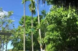 [☕️🇻🇳] CoCo’s Coffee 🥤 Top1Coffee ☕️ Niềm vui giữa những ngày Đồng Hới giông bão là lục lại kho ảnh, cầu mong những cơn mưa sẽ qua nhanh và cuộc sống sẽ lại tiếp diễ , shares-0✔️ , likes-8❤️️ , date-2020-10-08 15:16:24🇻🇳🇻🇳🇻🇳📰🆕