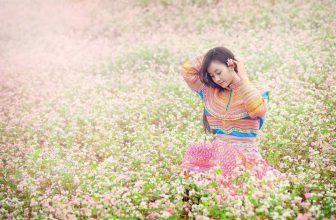 [☕️🇻🇳] NOC Coffee – Cafe bóng đá, cho thuê địa điểm offine, sinh nhật, sự kiện 🥤 Top1Coffee ☕️ Hà Giang mùa hoa tam giác mạch tuyệt vời quá, có ai muốn được thả mình trên cánh đồng hoa tam giác mạch như nàng thơ này không ạ , shares-0✔️ , likes-0❤️️ , date-2020-10-27 21:46:33🇻🇳🇻🇳🇻🇳📰🆕