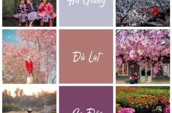 [☕️🇻🇳] NOC Coffee – Cafe bóng đá, cho thuê địa điểm offine, sinh nhật, sự kiện 🥤 Top1Coffee ☕️ Đi đâu chuẩn mùa để có một chuyến du lịch như ý???• Tháng 1: Đà Lạt, Sa Đéc, Hà Giang ngắm hoa cỏ trổ sắc rực rỡ cả đất trời m , shares-0✔️ , likes-1❤️️ , date-2020-11-01 20:49:00🇻🇳🇻🇳🇻🇳📰🆕