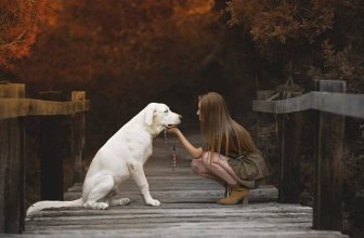 [🆕🇻🇳] Yêu Thú Cưng 🐶🦜 Top1Pets 🐱🐠 . Cuộc sống khó khăn sẽ nhẹ nhàng trôi qua khi bên cạnh ta luôn có 1 người bạn quan tâm, chia sẻ
#Leo
, shares-61✔️ , likes-952❤️️ , date-2016-06-13 01:24:47🐶🐱🇻🇳🇻🇳🇻🇳📰🆕